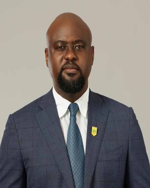 Hon. Dr. Chukwuemeka Ujam